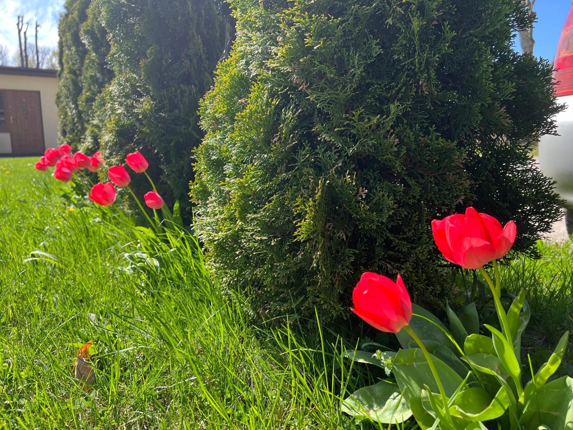 Osrodek Rodzinny "Pod Wydmami" Przy Plazy , Plac Zabaw , Rowery Sarbinowo Exterior foto